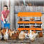 Boîtes de nidification à poulets 6/8/10