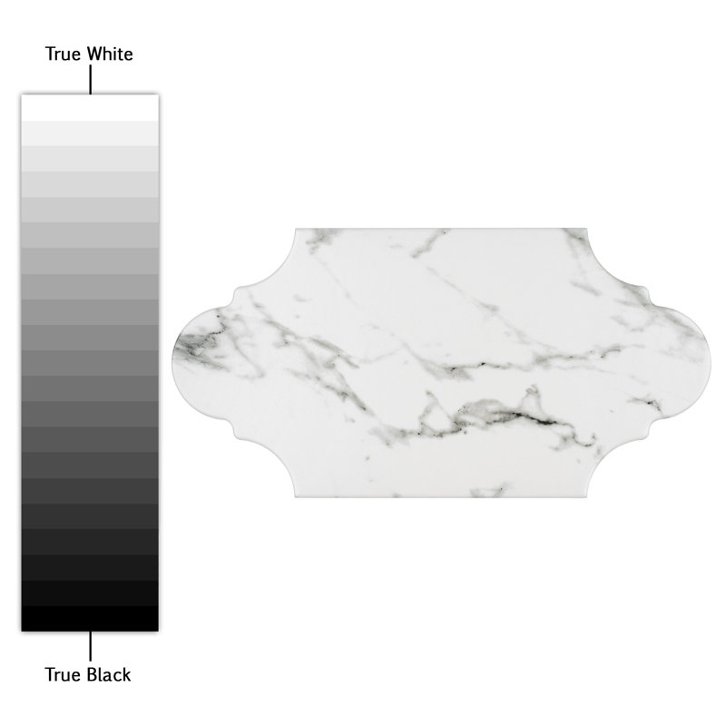 Timeless Provenzale Calacatta 6-1/4" x 12-3/4" Porcelain Patterned Wall & Floor Tile