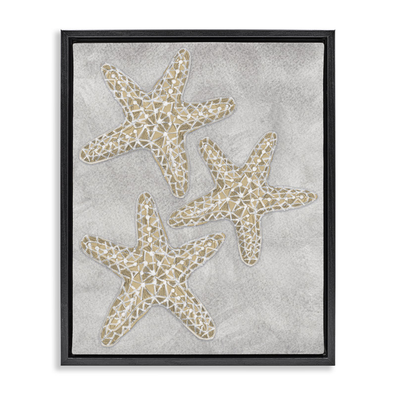 Cadre flottant gris avec étoile de mer, design par Patti Bishop, Cadre flottant noir de jais, H 21 po x l 17 po
