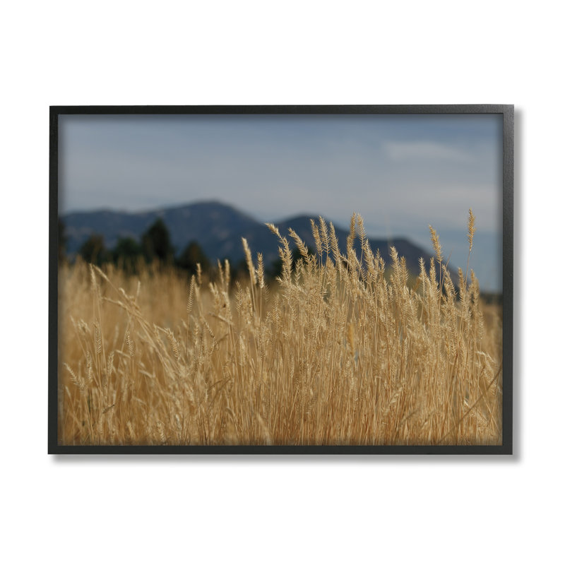 Champ de blé par Sue Schlabach, Giclée encadrée noir minuit, H 11 po x l 14 po x P 1,5 po
