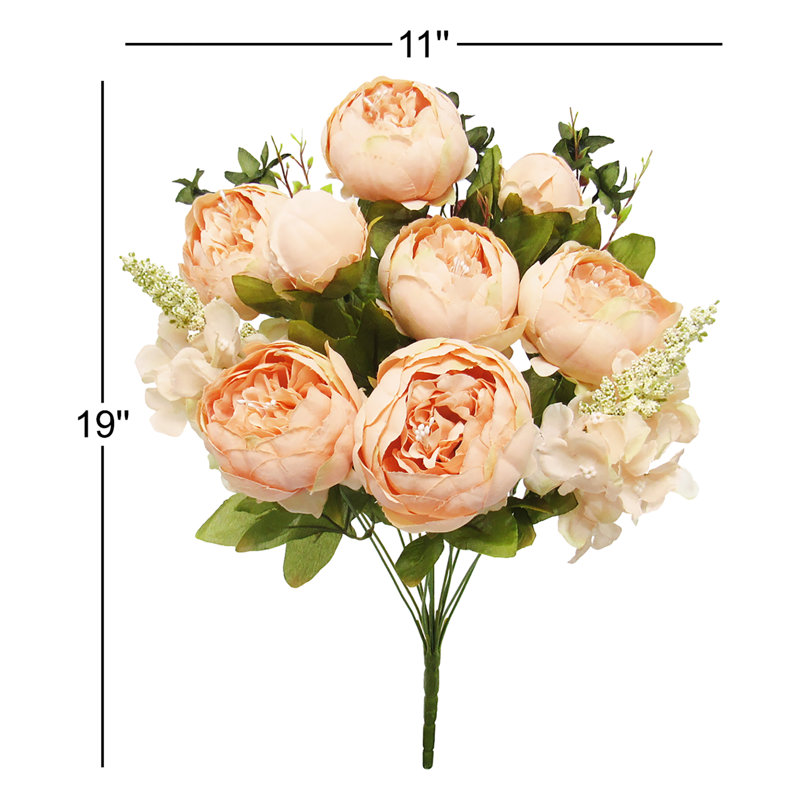 Buisson de pivoines de luxe mélangé, Pêche rosé