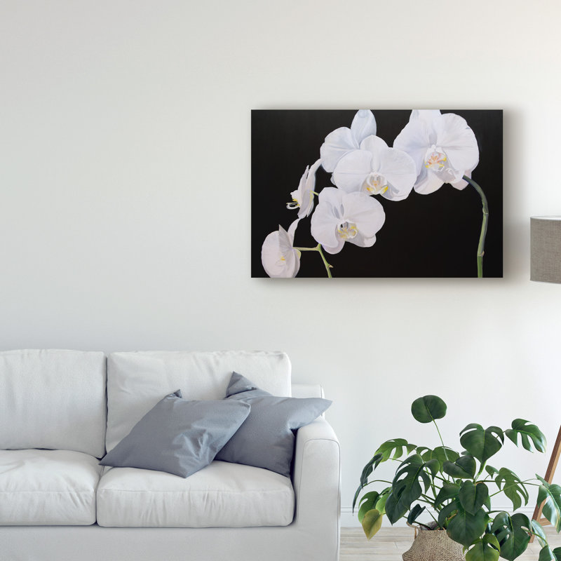 «Dramatic Orchids I» par Sandra Iafrate - reproduction d'art sur toile, H 12 po x l 19 po x P 2 po