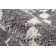 Begley Southwestern Indoor Rug
