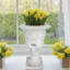 Pot à fleurs Giordano Calice Urne-1056353846-1056353847