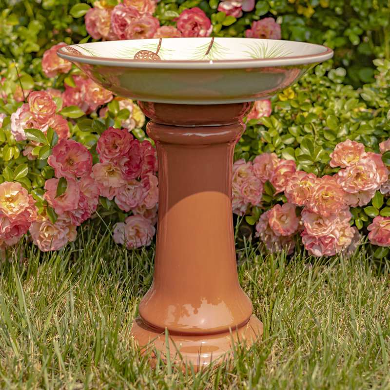 Manolita Ceramic Single Tier Birdbath