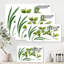 Fleurs d'orchidées vertes - peinture sur toile-59815266-59815267