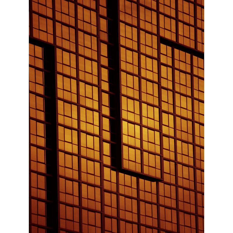 «Sunset Ballet» par Kevin Quinn - Photographie encadrée sur papier, H 25,25 po x l 31,25 po