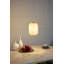 Aaronsburg 1 - Light Single Pendant