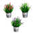 Assortment 1