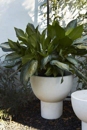 Handmade Pot Planter