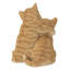 Chatons étreignant-67579695