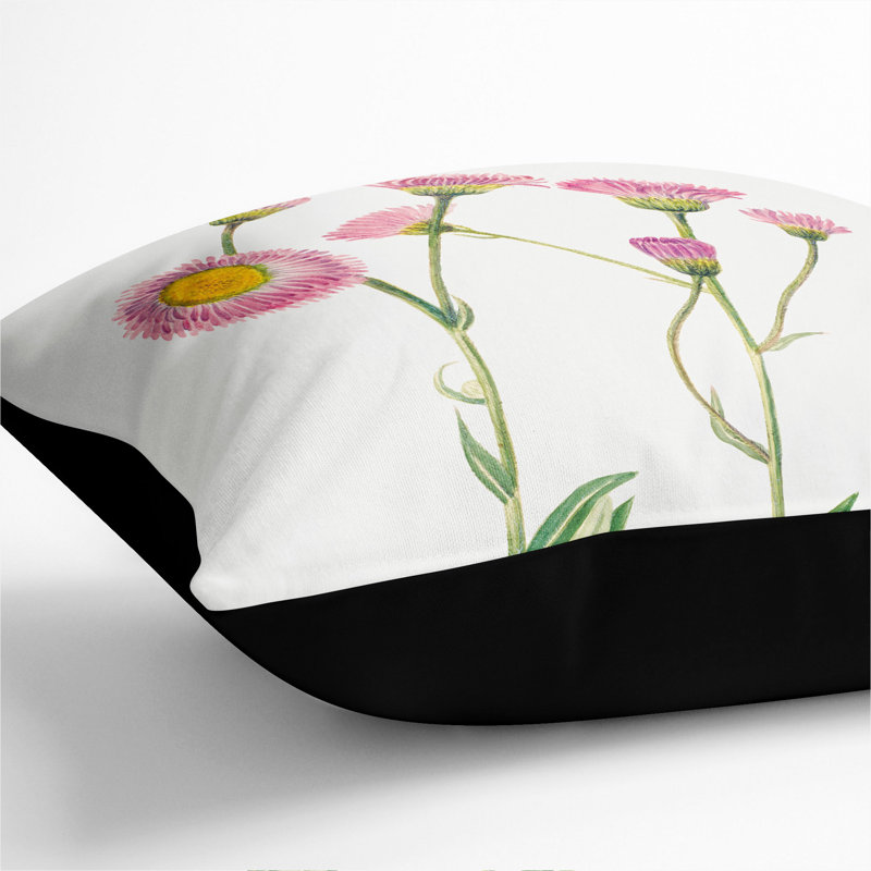 Meadow Fleabane Square Throw Cushion, 40cm H x 40cm W x 15cm D, Black