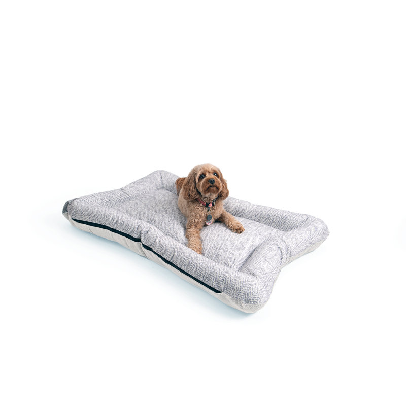 Lit pour chien et chat en microsuède réversible ivoire All Day with Cloud 9, H 5 po x l 50 po x P 37 po, Sable marmotte