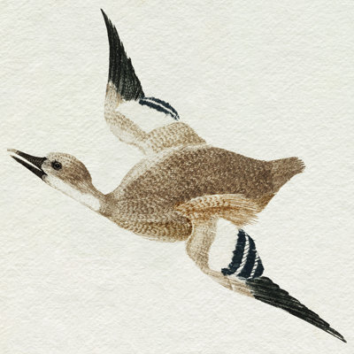 «Lefton Flying Ducks II» sur toile par Johan Teyler