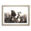Border Collie Dog in a Meadow in Abstract - Framed Print-55679387-55679388