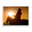 «Stupell Industries Cowboy at Sunset Silhouette», art mural sur toile par Lisa Dearing-91306052