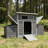 Wooden Chicken Coop