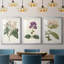 Antique Botanical Collection-522022678-522022666