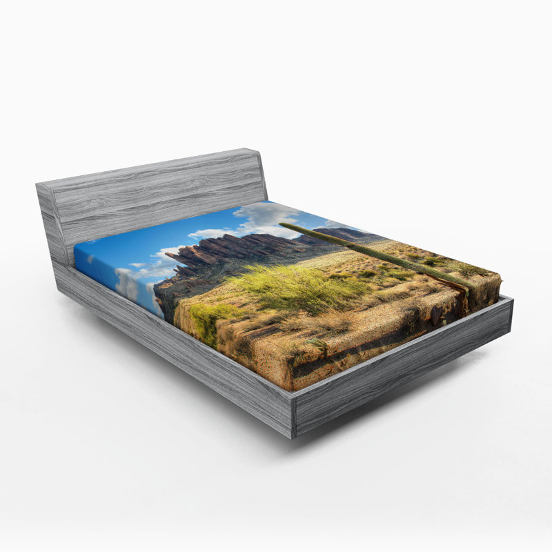 Drap-housse Saguaro, Drap-housse grand