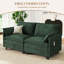 Causeuse moderne en chenille avec mousse durable à haute densité et deux coussins décoratifs-1050624648
