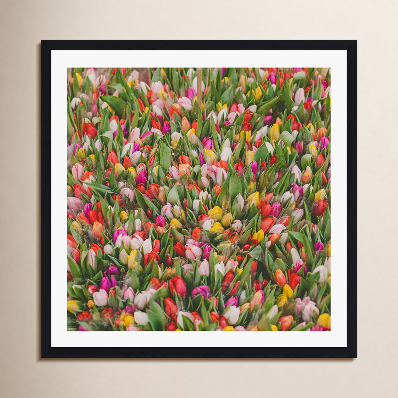 Thyrome "Rainbow Tulips" Print by Hello Twiggs, No, Natural Floater Framed, 12" H x 12" W x 2" D