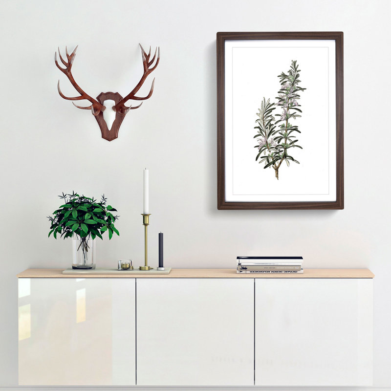 Rosemary Illustration - Picture Frame Graphic Art Print, 50cm H x 35cm W x 2cm D, Walnut