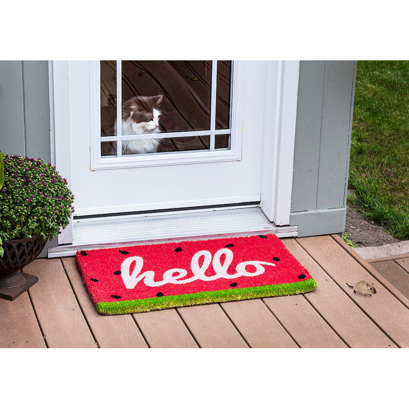 Tapis d'extérieur 30 po x 18 po Faruk Watermelon