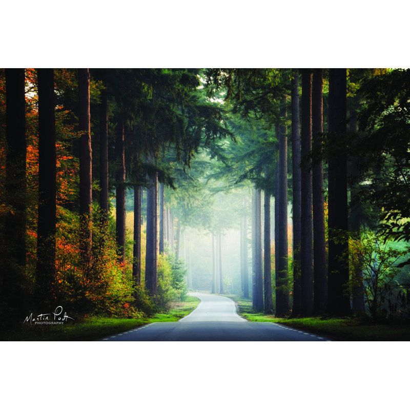 «Mysterious Roads» par Martin Podt - reproduction imprimée, L 12 po x H 8 po, Toile tendue