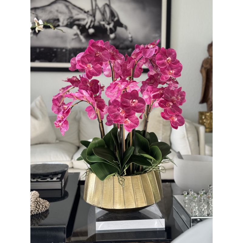 Helena Boat Planter With Phaleanopsis Orchids, Pink