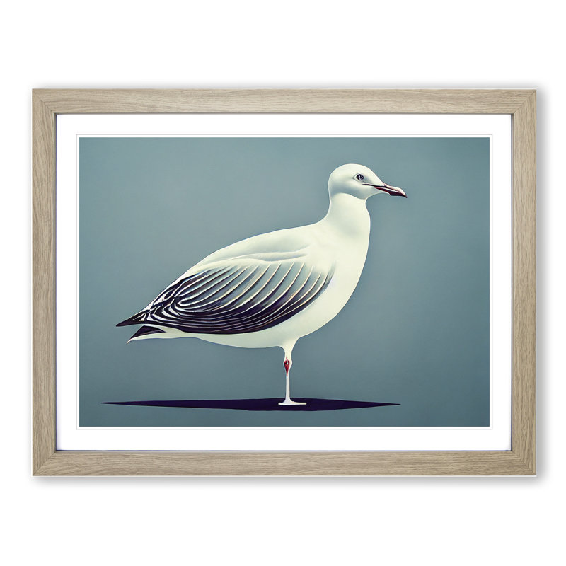 Seagull Portrait Vol.2 - Framed Print, 34cm H x 46cm W x 2cm D, Oak