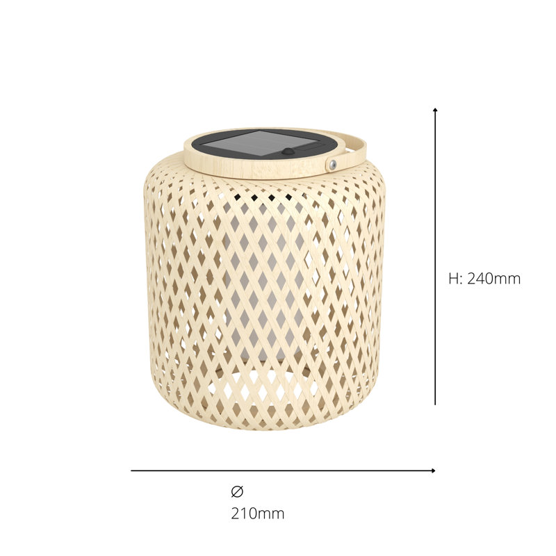 Ellasyn Stainless Steel Novelty Lamp