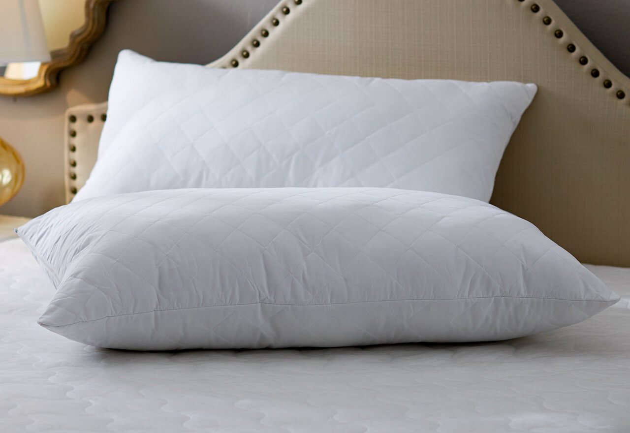 [BIG SALE] Dream Sleep TopRated Bed Pillows You’ll Love In 2025 Wayfair