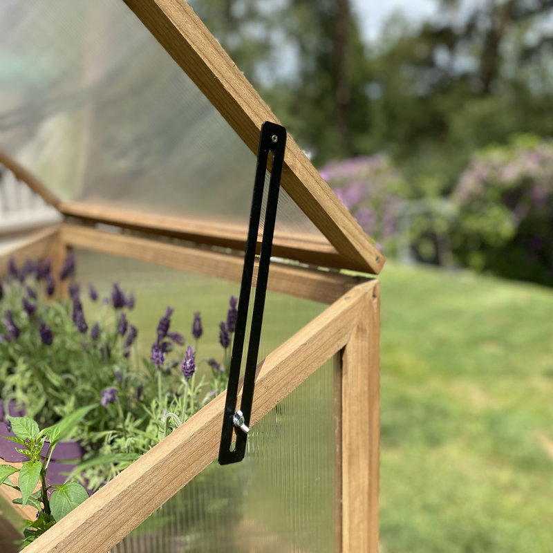 Brosius 2.5 Ft W x 1.1 Ft D Mini Greenhouse