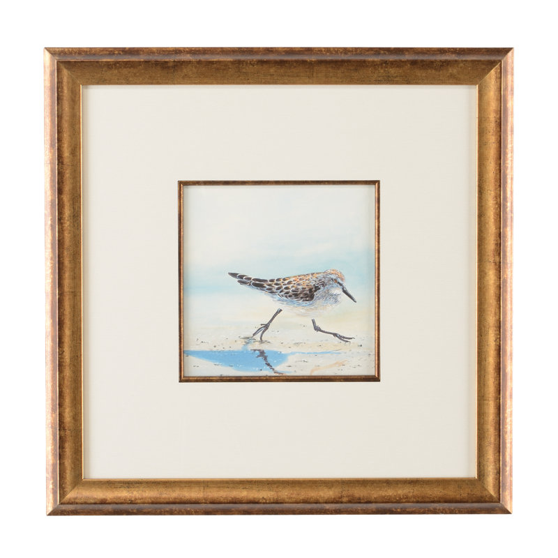 Sand Piper IV Print