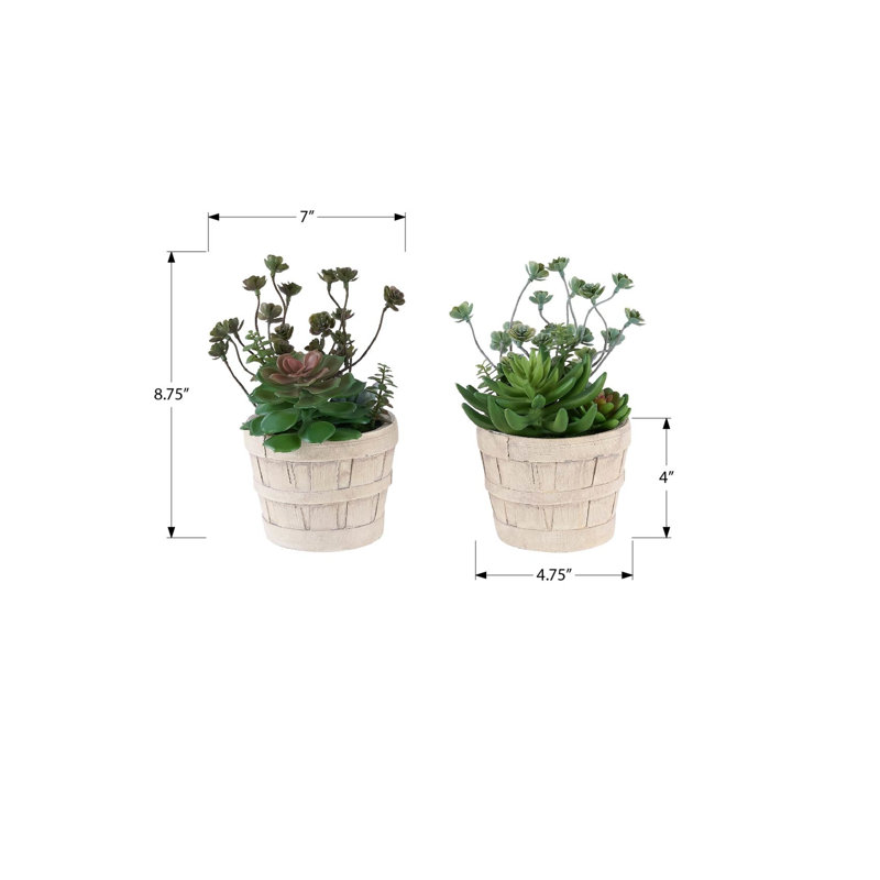 Plante artificielle, ensemble de 2 pots de ciment beiges de 9 po de hauteur, contemporain, moderne