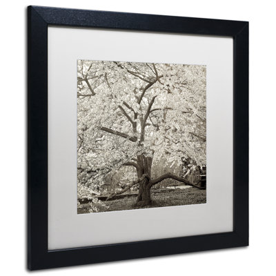 Fenwick «Hampton Magnolia II», reproduction de photo encadrée