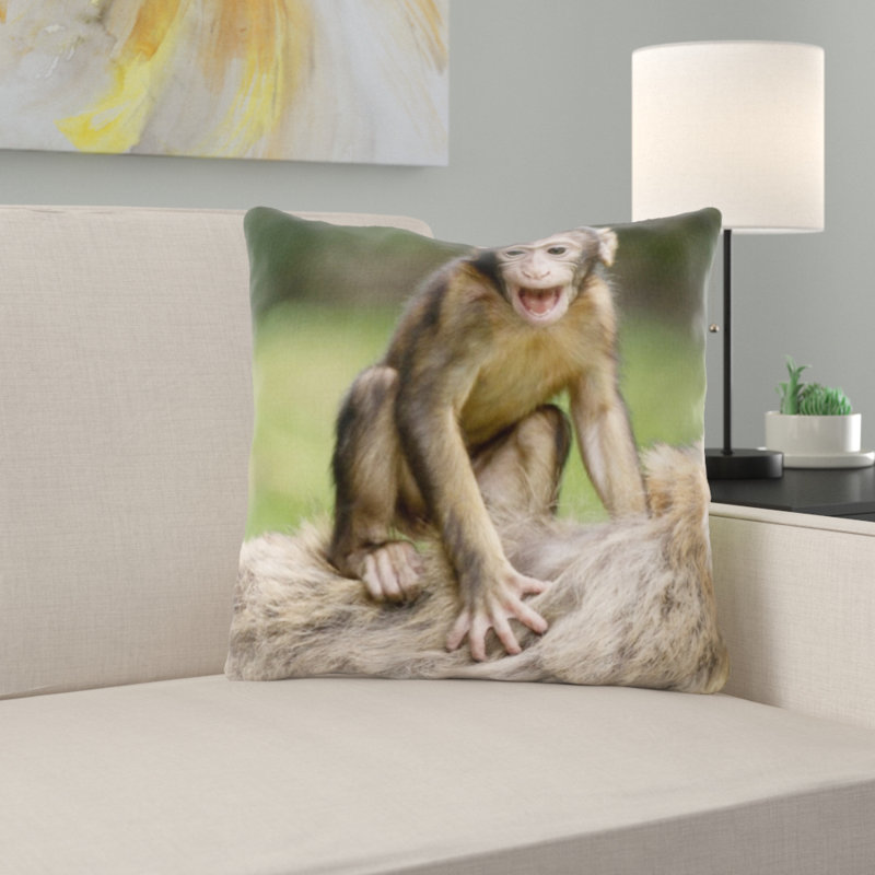 Coussin ape