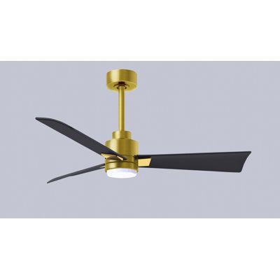 Alessandra Ceiling Fan