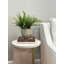 Outdoor UV-Rated Fern in Fiberstone Pot-748258957