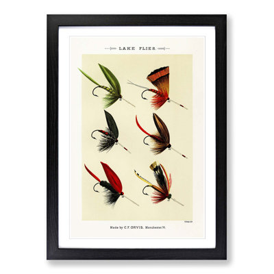 Lake Fishing Flies Version 4 by Mary Orvis Marbury - Picture Frame Painting Print