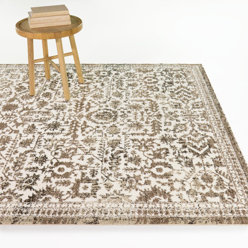 Marta Brown/Beige Transitional Southwestern Area Rug, 7'10" x 10'