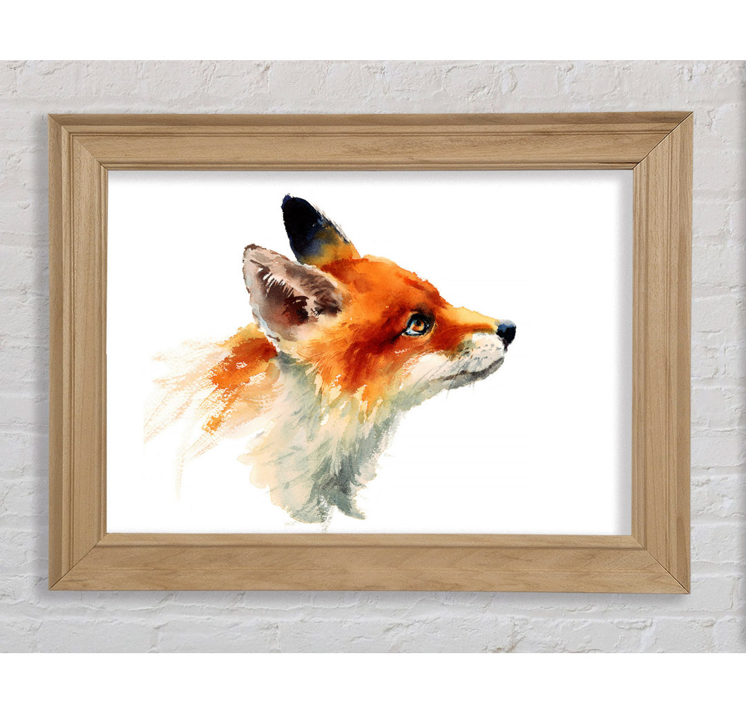 Viso Fox Love Gerahmter Druck Wandkunst