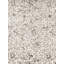Floral Area Rug