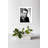 Portrait de John Loder - photographie sans cadre-88332231