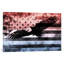 USA "Melting Film" Flag (Bald Eagle) - Print on Canvas-42161872-89230150