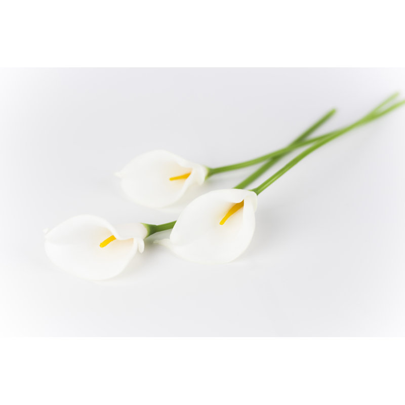 Calla Lily par Honglouwawa, H 12 po x l 18 po