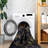 Kitchen Area Rug 5x8, Washable, Non-slip, Non-shedding, Foldable, & Pet , Low-pile, , Stain , Black + Gold For Bedroom, Living Room, Dining Super Soft 5x8 Entryway - Kitchen, Room-1810634285