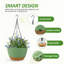 Elevated Planter-101152242