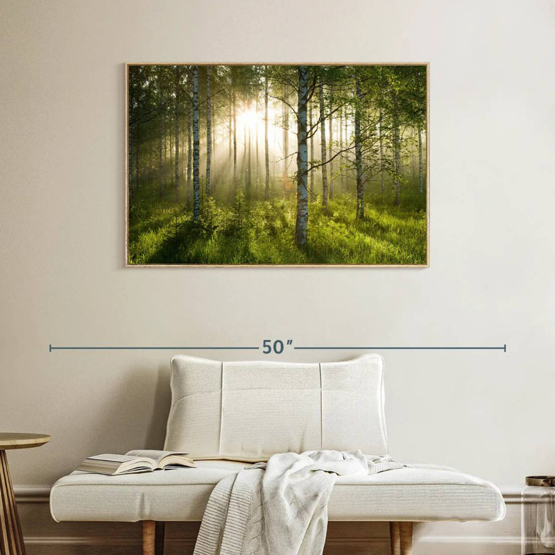 Birch Forest Sunlight, Cadre flottant en bois naturel, 40 po x 27 po