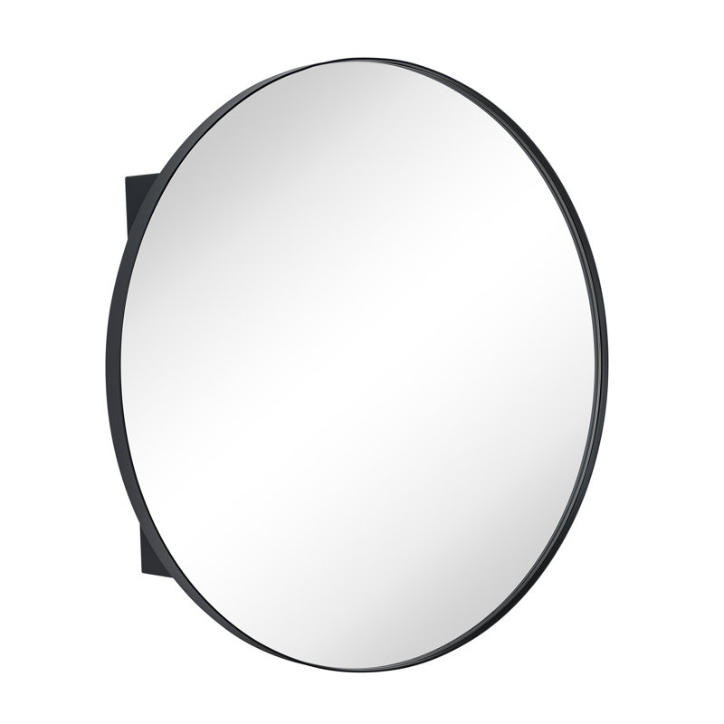 Armoire à pharmacie avec miroir et 2 tablettes réglables Seenaa, 24 po x 24 po, Black